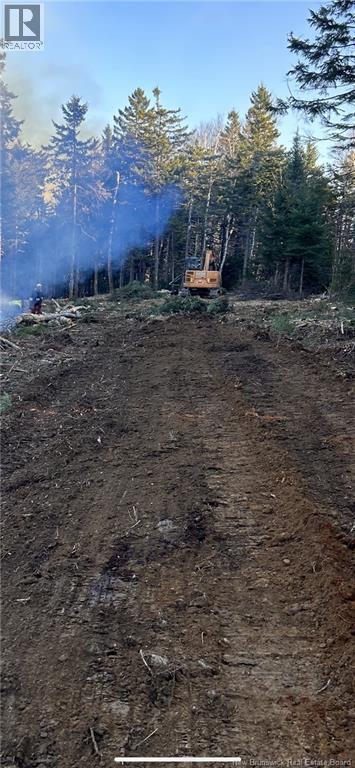 2021-1 Trailside Lane, Central Hainesville, New Brunswick E3E 1S1 - Photo 6 - NB133714