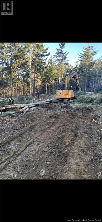 2021-1 Trailside Lane, Central Hainesville, New Brunswick E3E 1S1 - Photo 7 - NB133714