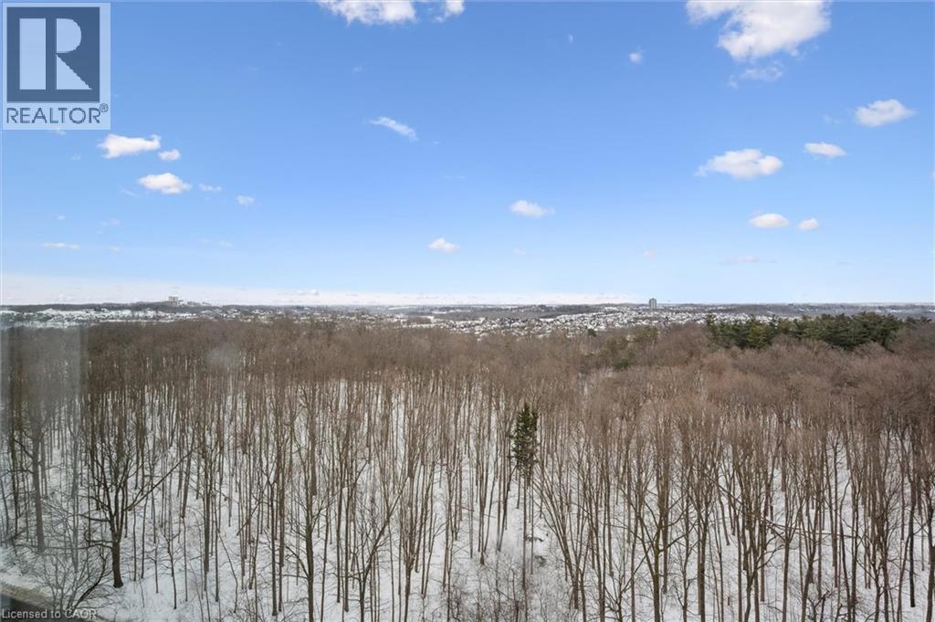 55 Green Valley Drive Unit# 1812, Kitchener, Ontario  N2P 1Z6 - Photo 28 - 40805683