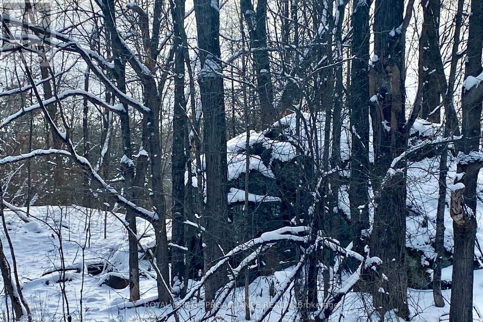 614 Thousands Islands Parkway, Leeds And The Thousand Islands, Ontario  K0E 1L0 - Photo 3 - X12793890