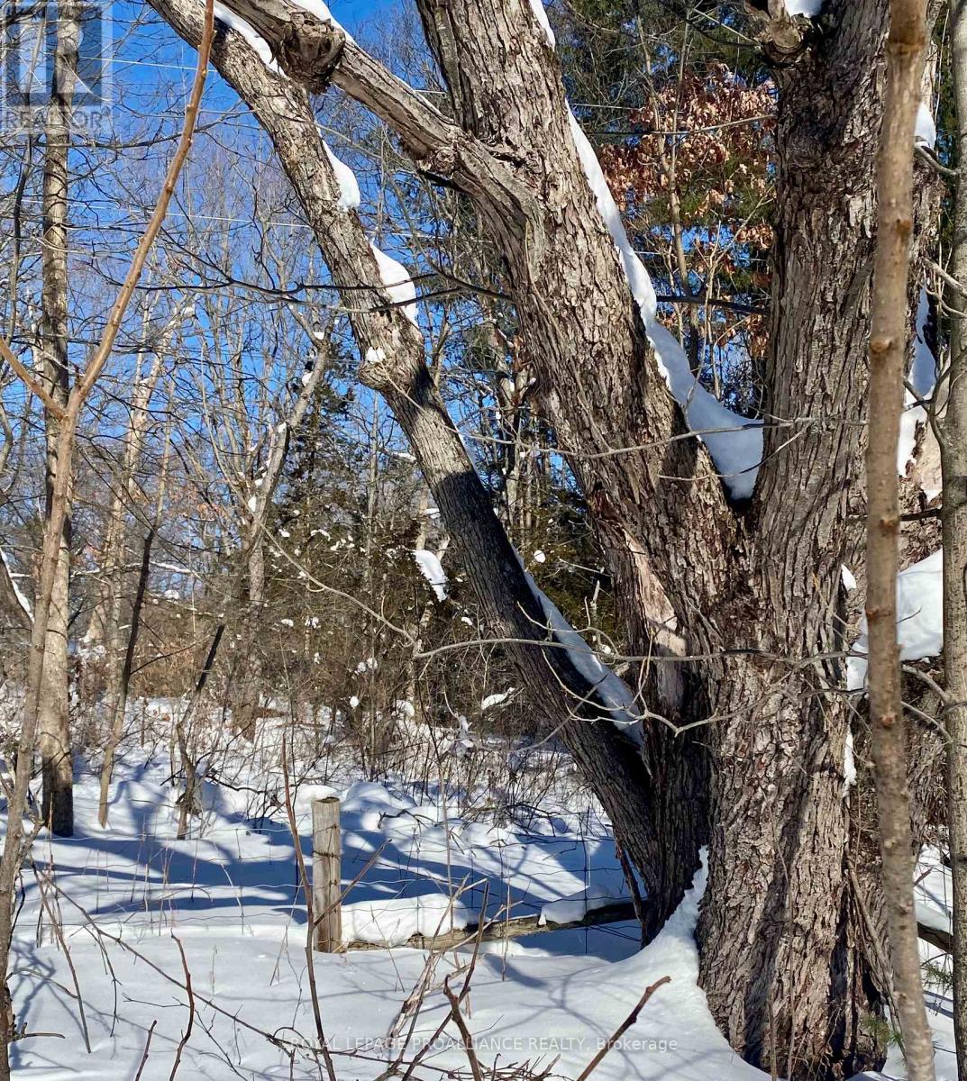 614 Thousands Islands Parkway, Leeds And The Thousand Islands, Ontario  K0E 1L0 - Photo 5 - X12793890