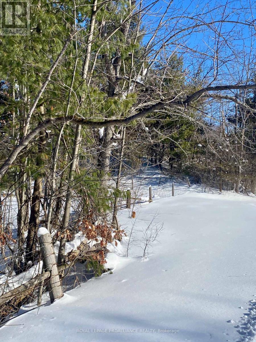 614 Thousands Islands Parkway, Leeds And The Thousand Islands, Ontario  K0E 1L0 - Photo 7 - X12793890