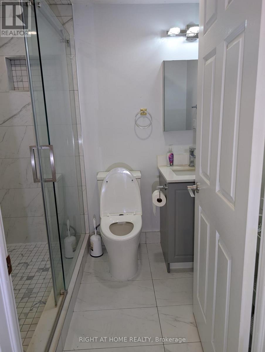 Basement - 22 Chippingwood Manor, Aurora, Ontario  L4G 7R4 - Photo 10 - N12794716