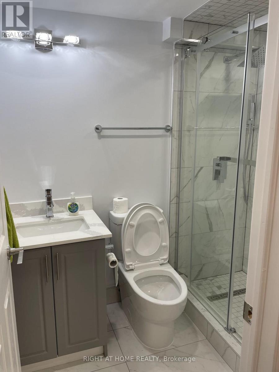 Basement - 22 Chippingwood Manor, Aurora, Ontario  L4G 7R4 - Photo 11 - N12794716