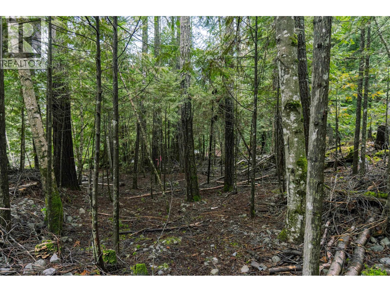 I In-Shuk-Chuck Fsr, Mount Currie, British Columbia  V0N 2K0 - Photo 8 - R3090162