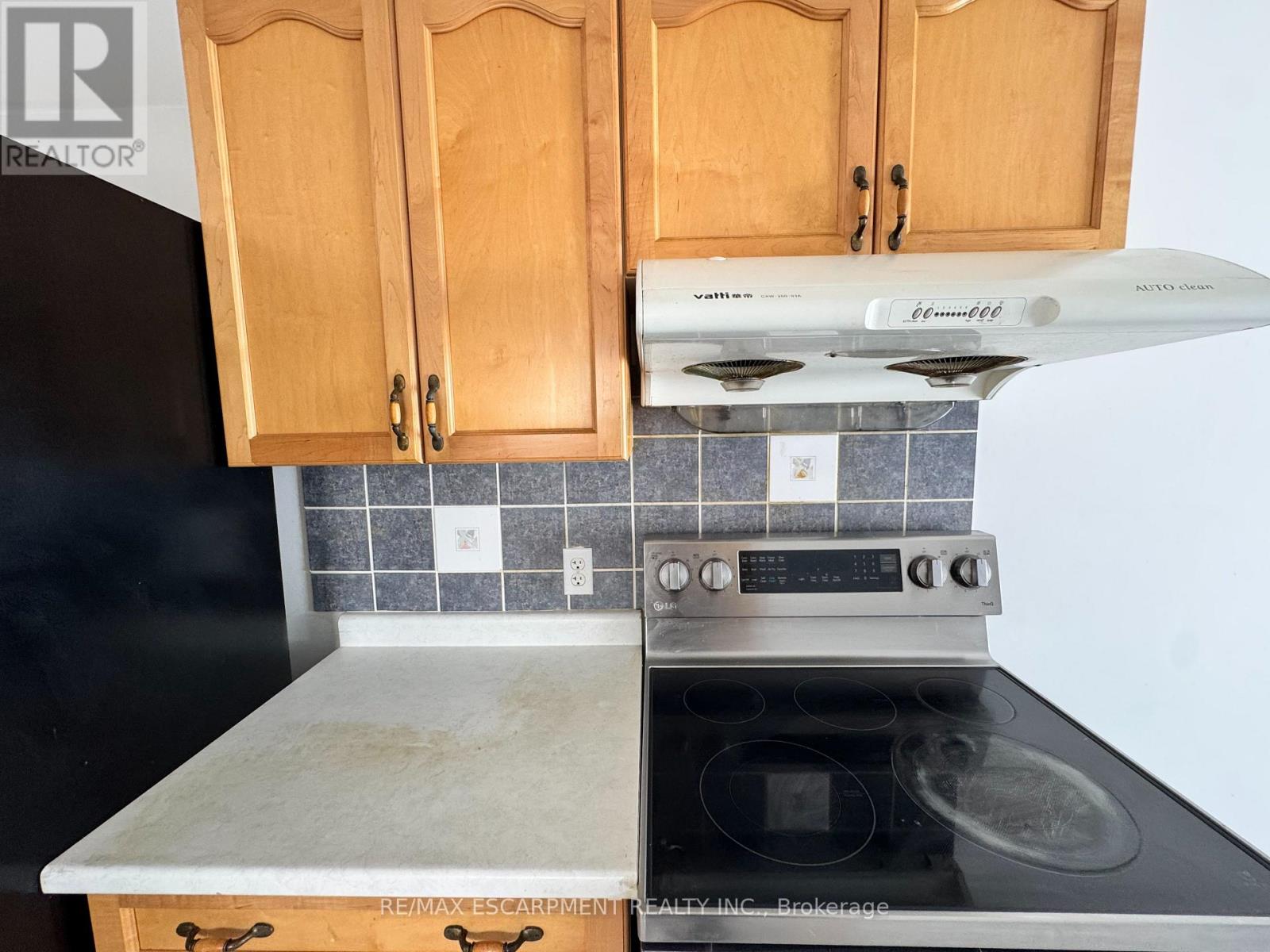 167 Forest Road, Brantford, Ontario  N3S 7L5 - Photo 22 - X12794950