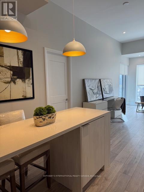 707 - 21 Park Street, Mississauga, Ontario  L5G 0C2 - Photo 4 - W12794928