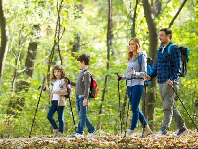 43584 Deer Run, Cultus Lake South, Lindell Beach, British Columbia  V2R 0E1 - Photo 39 - R3090538