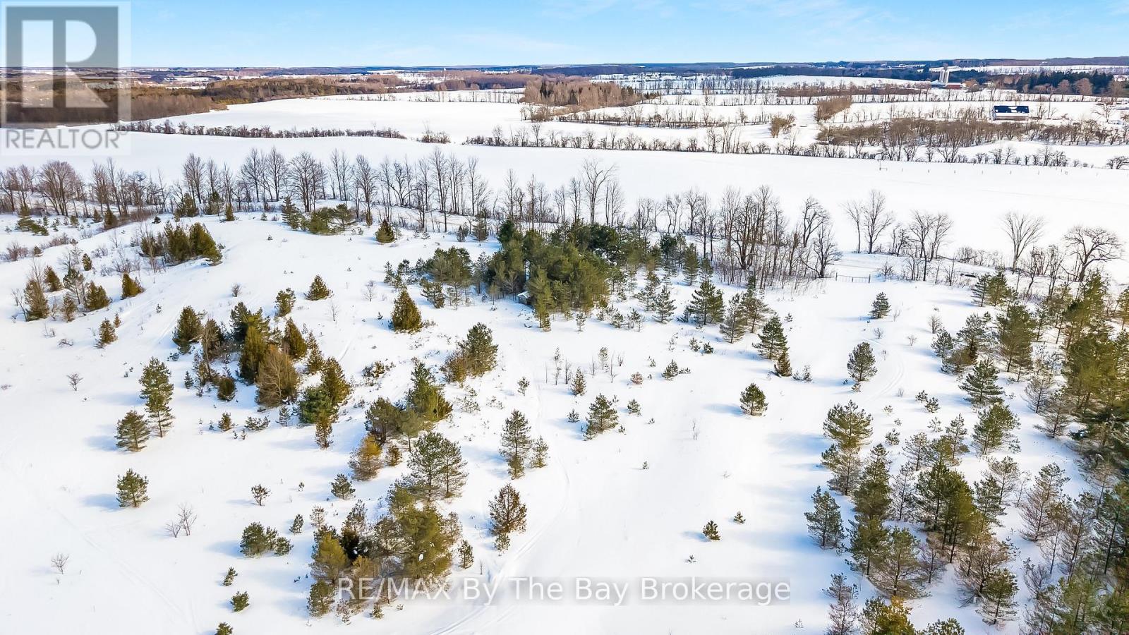 353814 Osprey Artemesia Townline, Grey Highlands, Ontario  N0C 1J0 - Photo 10 - X12795324