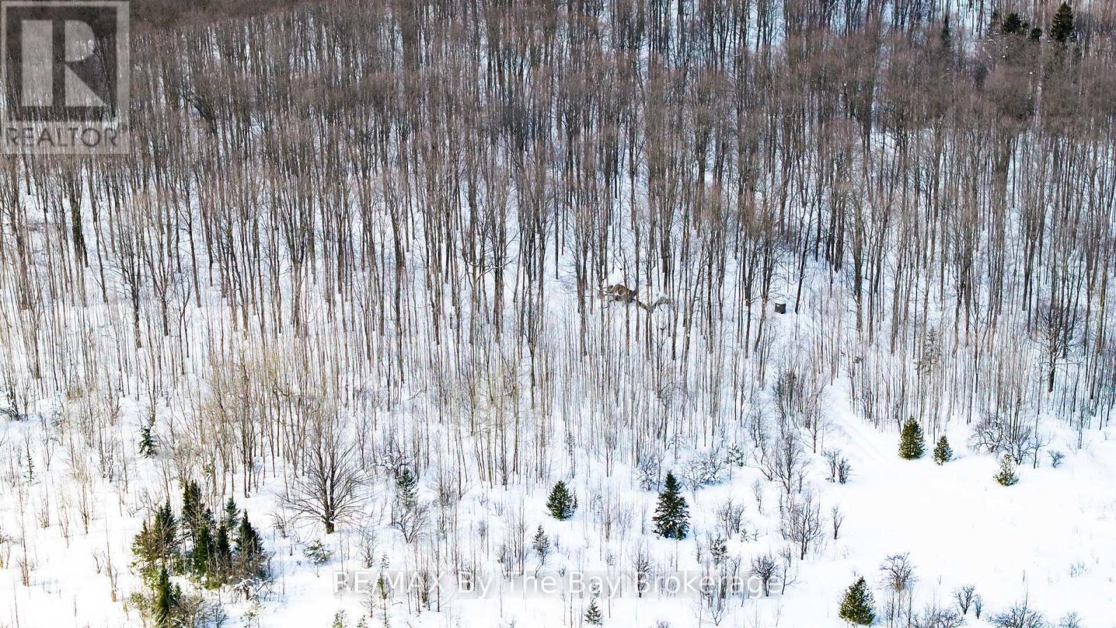 353814 Osprey Artemesia Townline, Grey Highlands, Ontario  N0C 1J0 - Photo 12 - X12795324