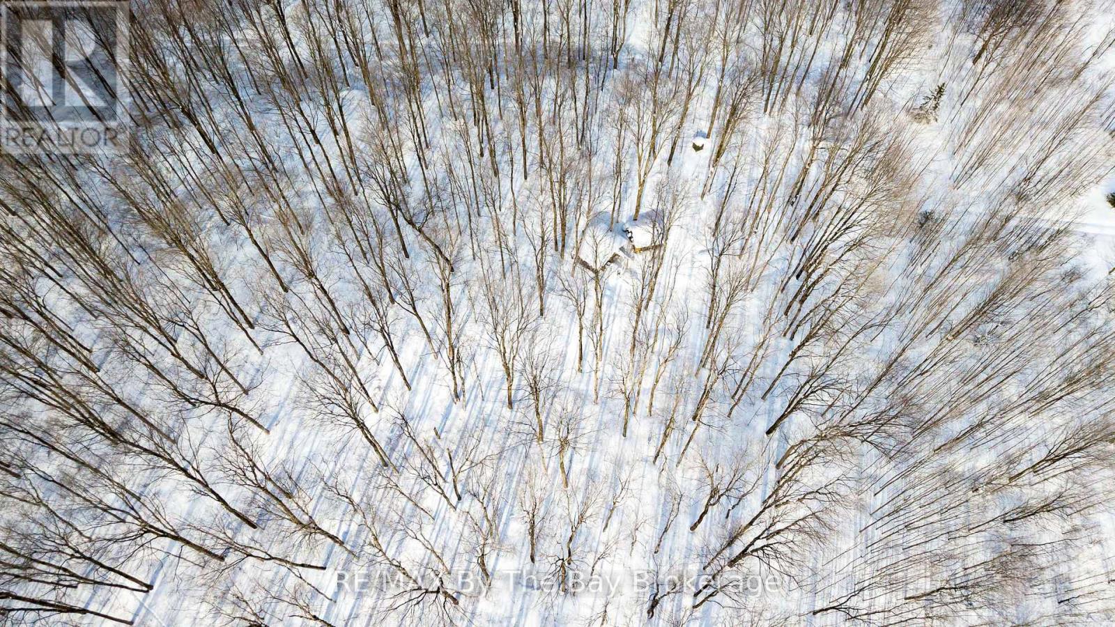 353814 Osprey Artemesia Townline, Grey Highlands, Ontario  N0C 1J0 - Photo 13 - X12795324