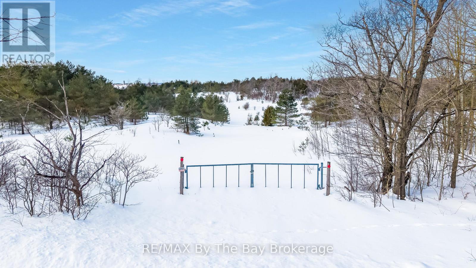 353814 Osprey Artemesia Townline, Grey Highlands, Ontario  N0C 1J0 - Photo 4 - X12795324