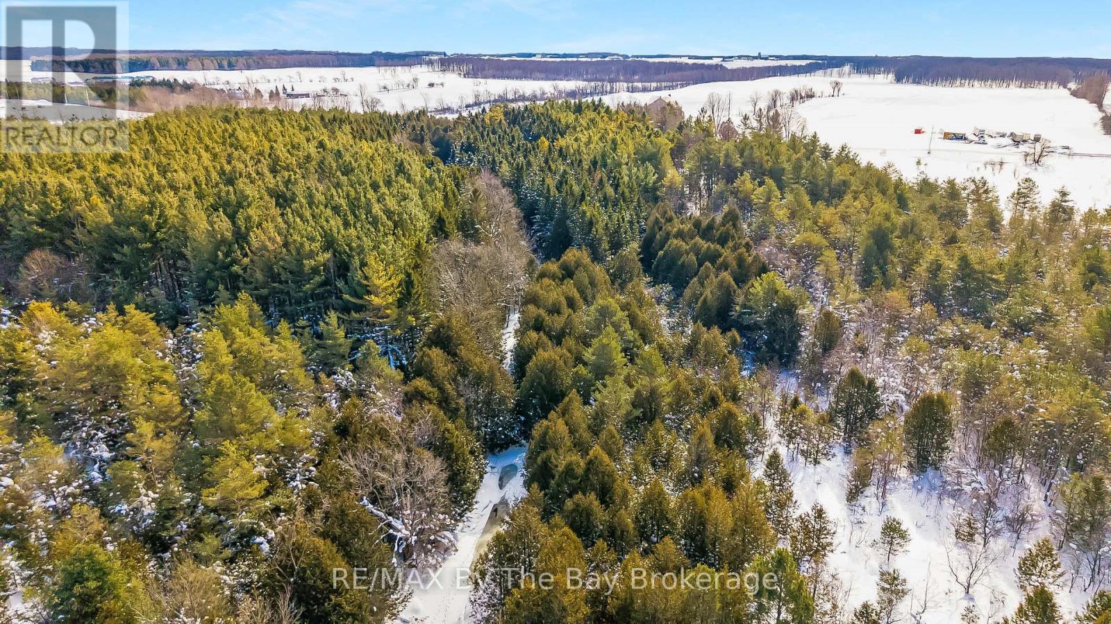 353814 Osprey Artemesia Townline, Grey Highlands, Ontario  N0C 1J0 - Photo 5 - X12795324