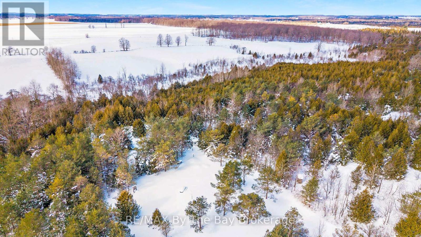 353814 Osprey Artemesia Townline, Grey Highlands, Ontario  N0C 1J0 - Photo 6 - X12795324