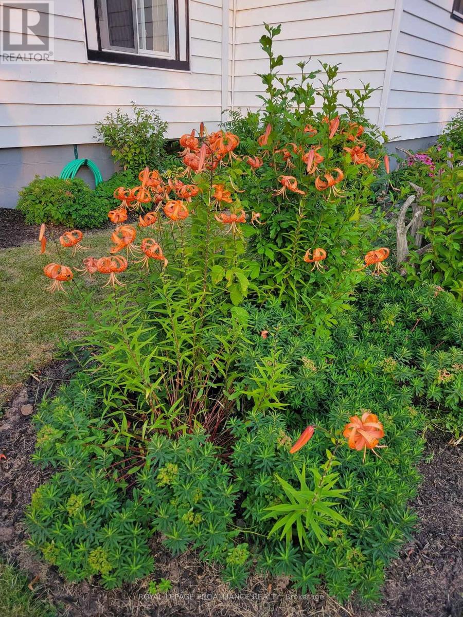 31 Elizabeth Street, Brighton, Ontario  K0K 1H0 - Photo 7 - X12795290