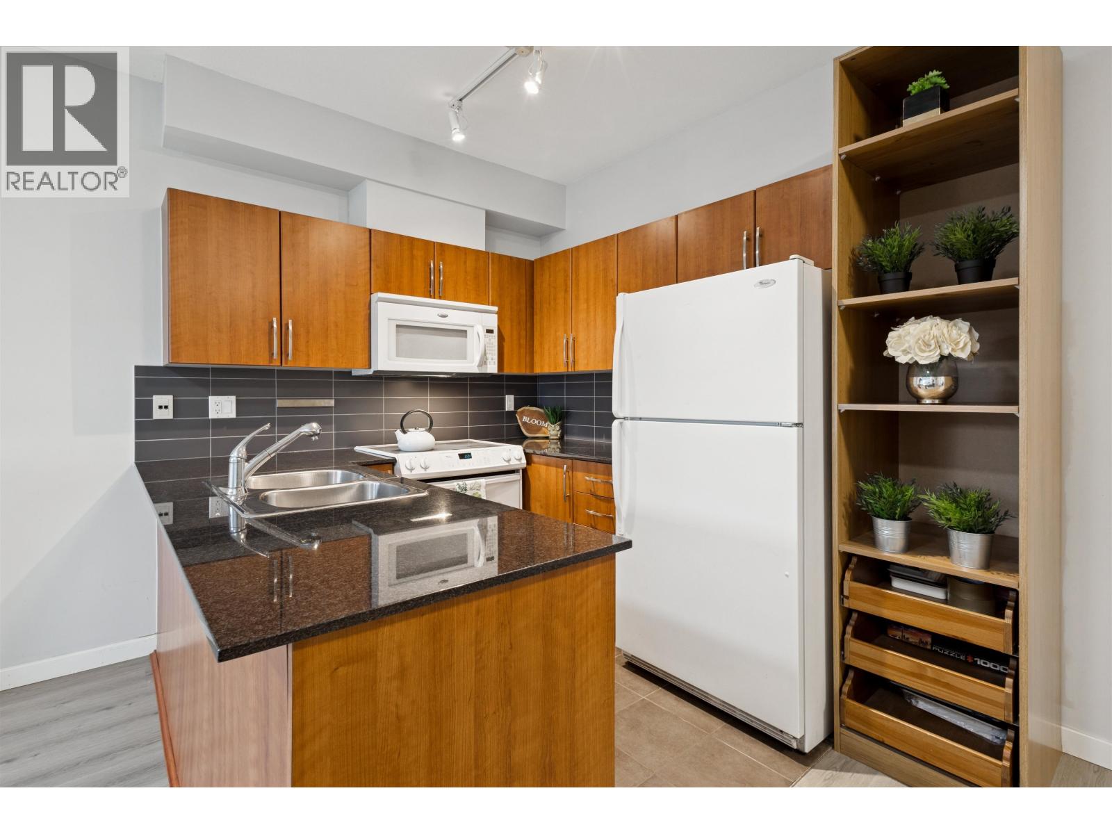 201 1661 Fraser Avenue, Port Coquitlam, British Columbia  V3B 0B6 - Photo 4 - R3090560