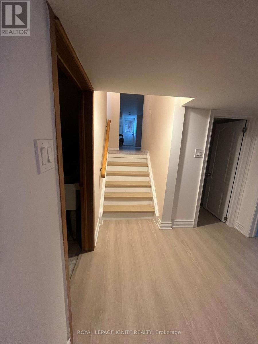 Bsmt - 6 Kingsdown Drive, Toronto (Ionview), Ontario  M1K 3B8 - Photo 8 - E12795270