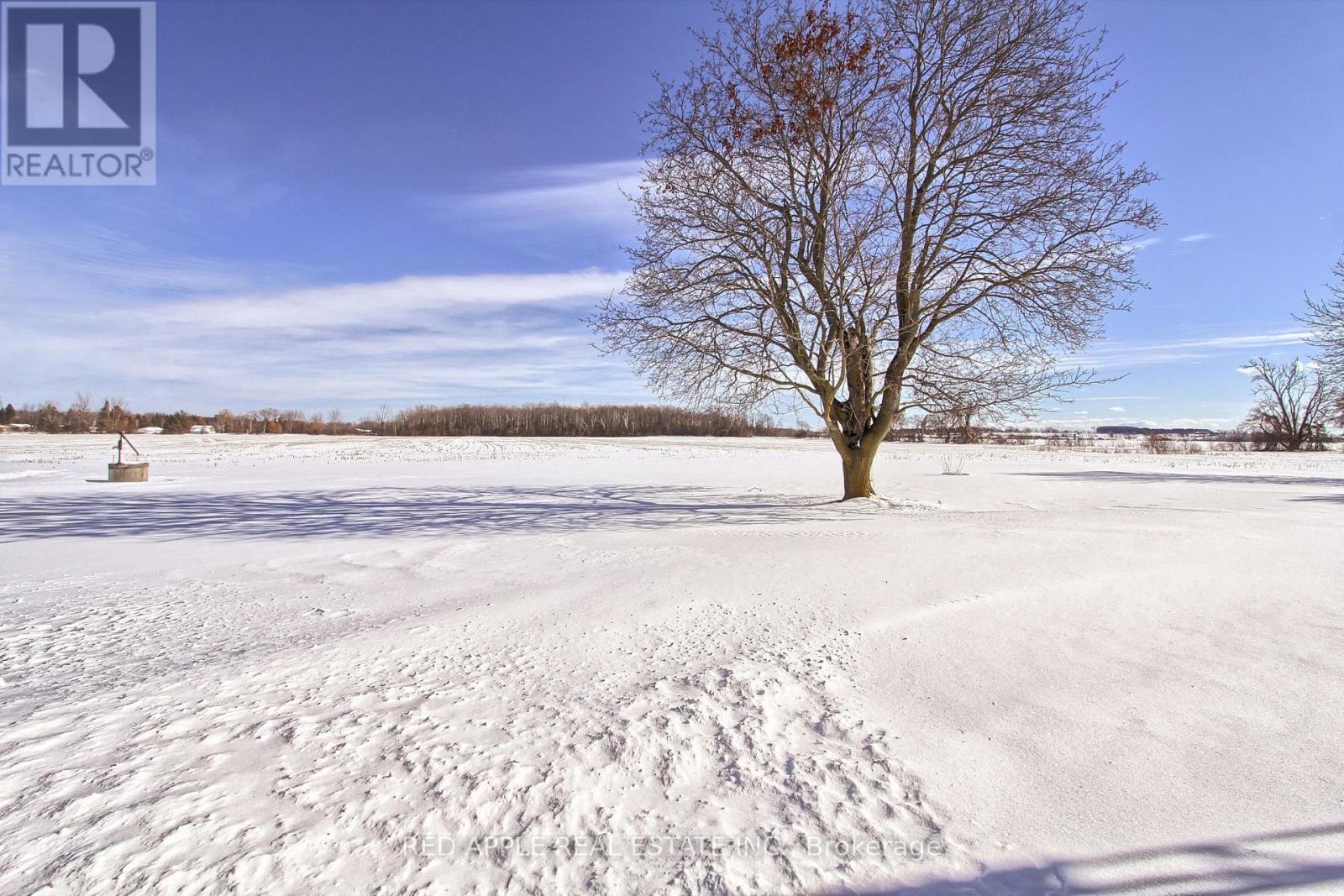 24187 Warden Avenue, Georgina, Ontario  L4P 3E9 - Photo 21 - N12795240