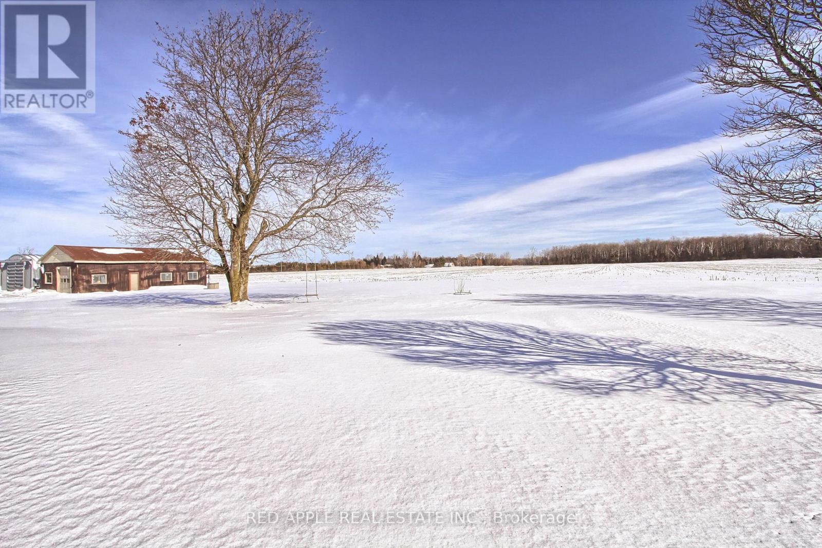 24187 Warden Avenue, Georgina, Ontario  L4P 3E9 - Photo 22 - N12795240