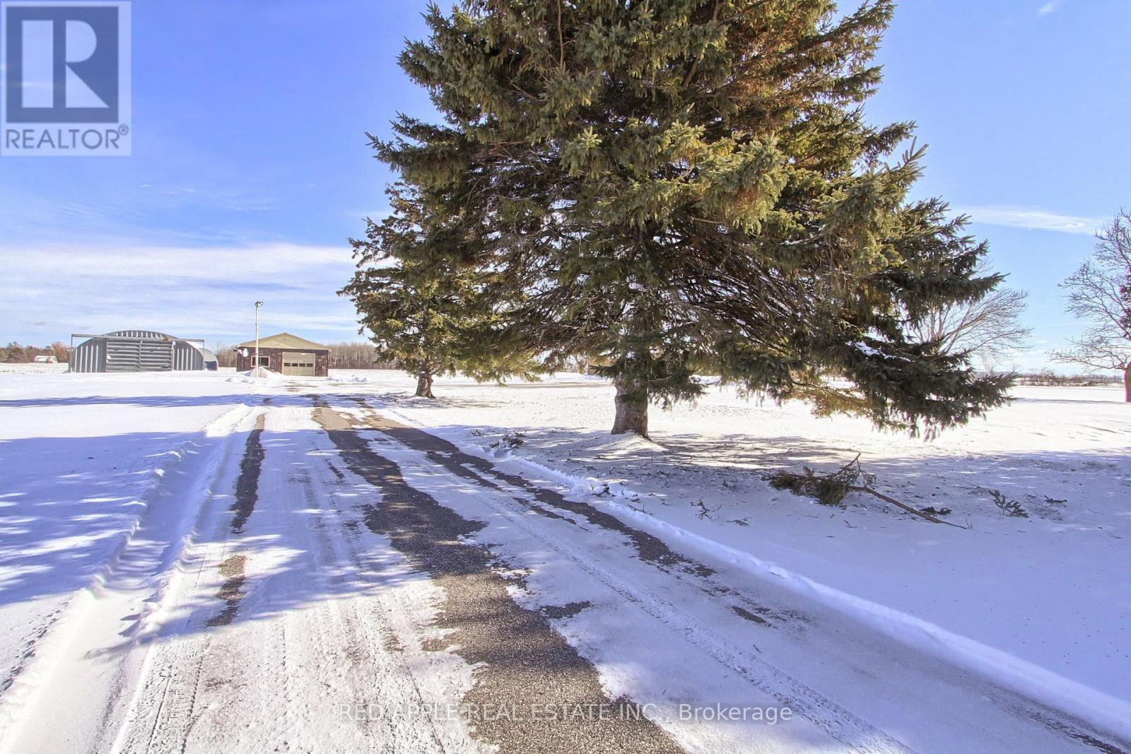 24187 Warden Avenue, Georgina, Ontario  L4P 3E9 - Photo 27 - N12795240