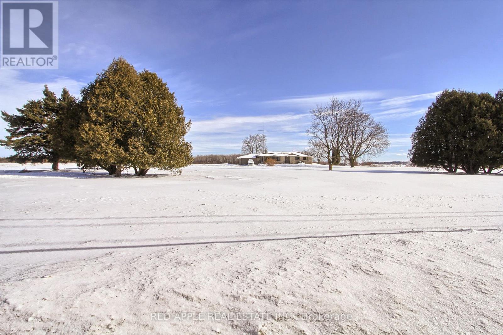 24187 Warden Avenue, Georgina, Ontario  L4P 3E9 - Photo 28 - N12795240