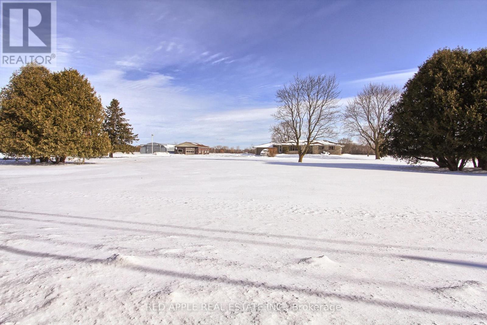 24187 Warden Avenue, Georgina, Ontario  L4P 3E9 - Photo 29 - N12795240