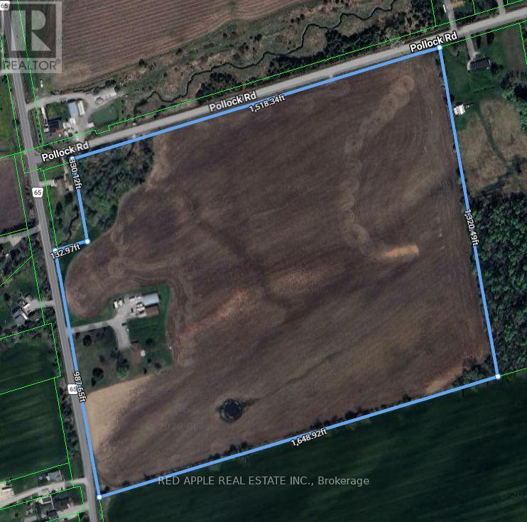 24187 Warden Avenue, Georgina, Ontario  L4P 3E9 - Photo 31 - N12795240