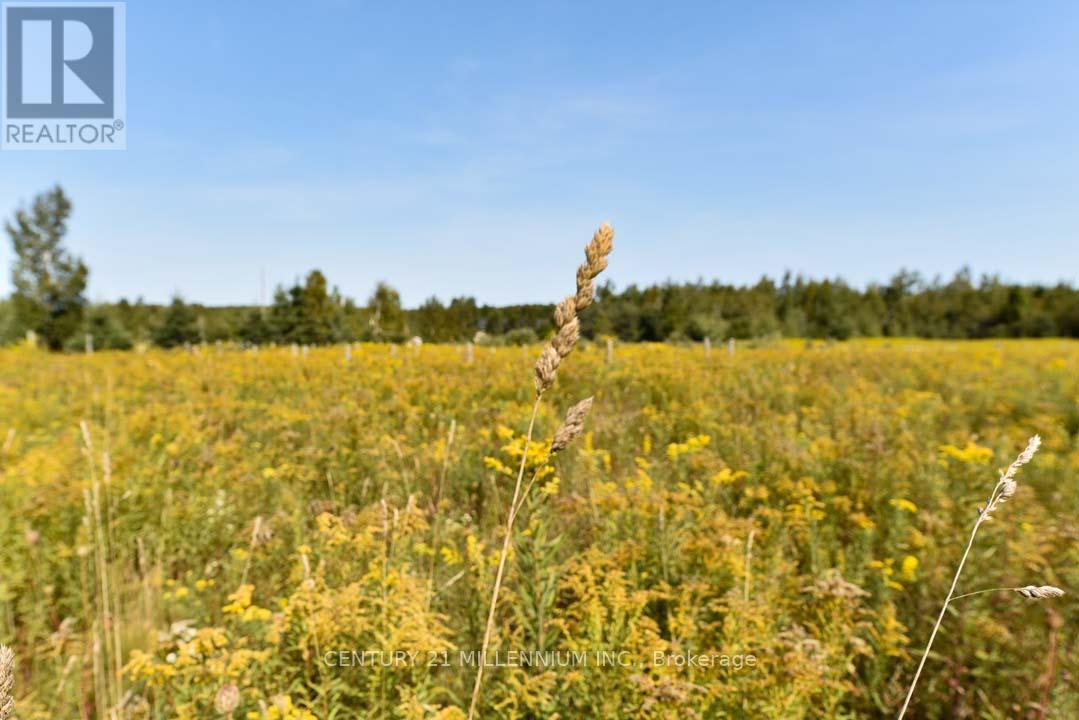 387091 20th Side Road, Mono, Ontario  L9W 6V5 - Photo 15 - X12795308