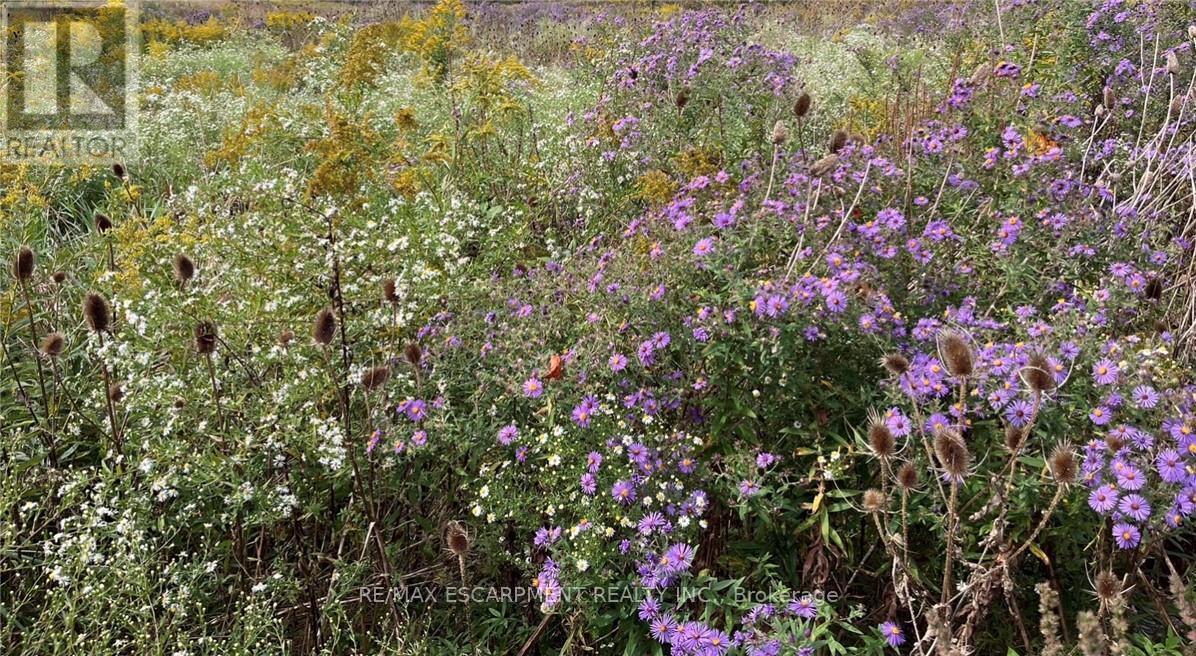 115 Larry Crescent, Haldimand, Ontario  N3W 0B2 - Photo 43 - X12795362