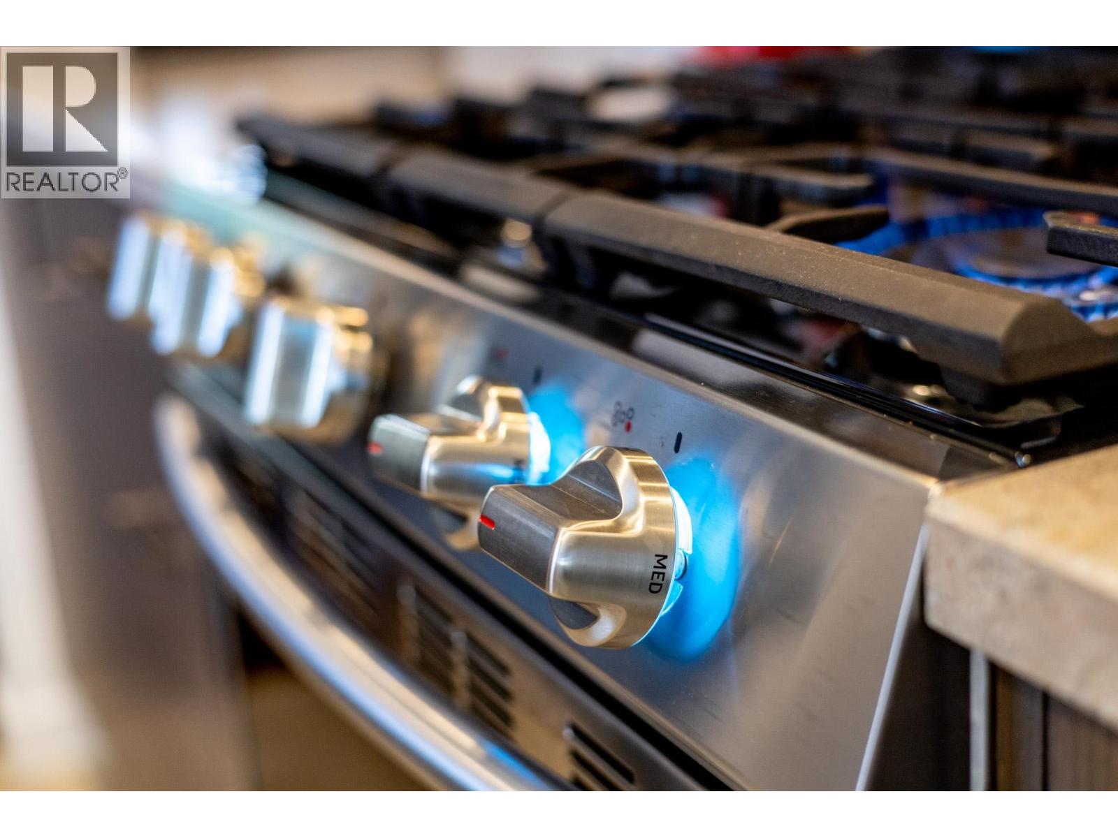 51 12268 189a Street, Pitt Meadows, British Columbia  V3Y 2M7 - Photo 17 - R3090178