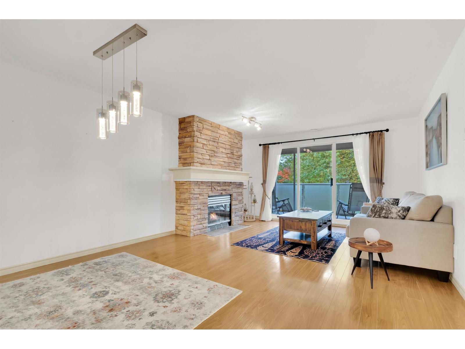 209 20145 55a Avenue, Langley, British Columbia  V3A 8L6 - Photo 2 - R3090648