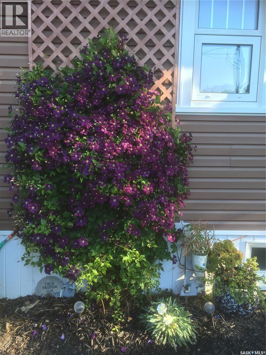 625 Centre Street, Shaunavon, Saskatchewan  S0N 2M0 - Photo 31 - SK028732