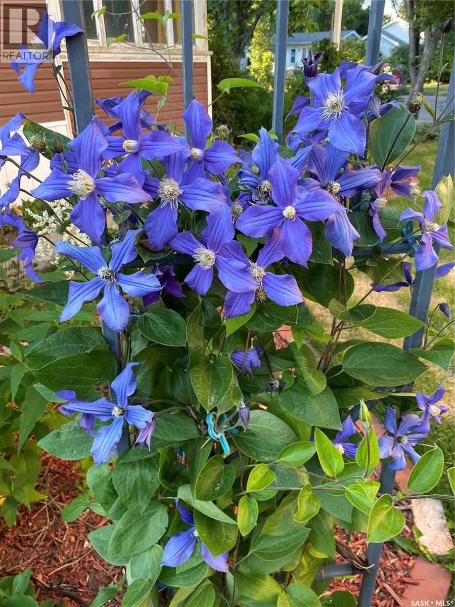 625 Centre Street, Shaunavon, Saskatchewan  S0N 2M0 - Photo 35 - SK028732