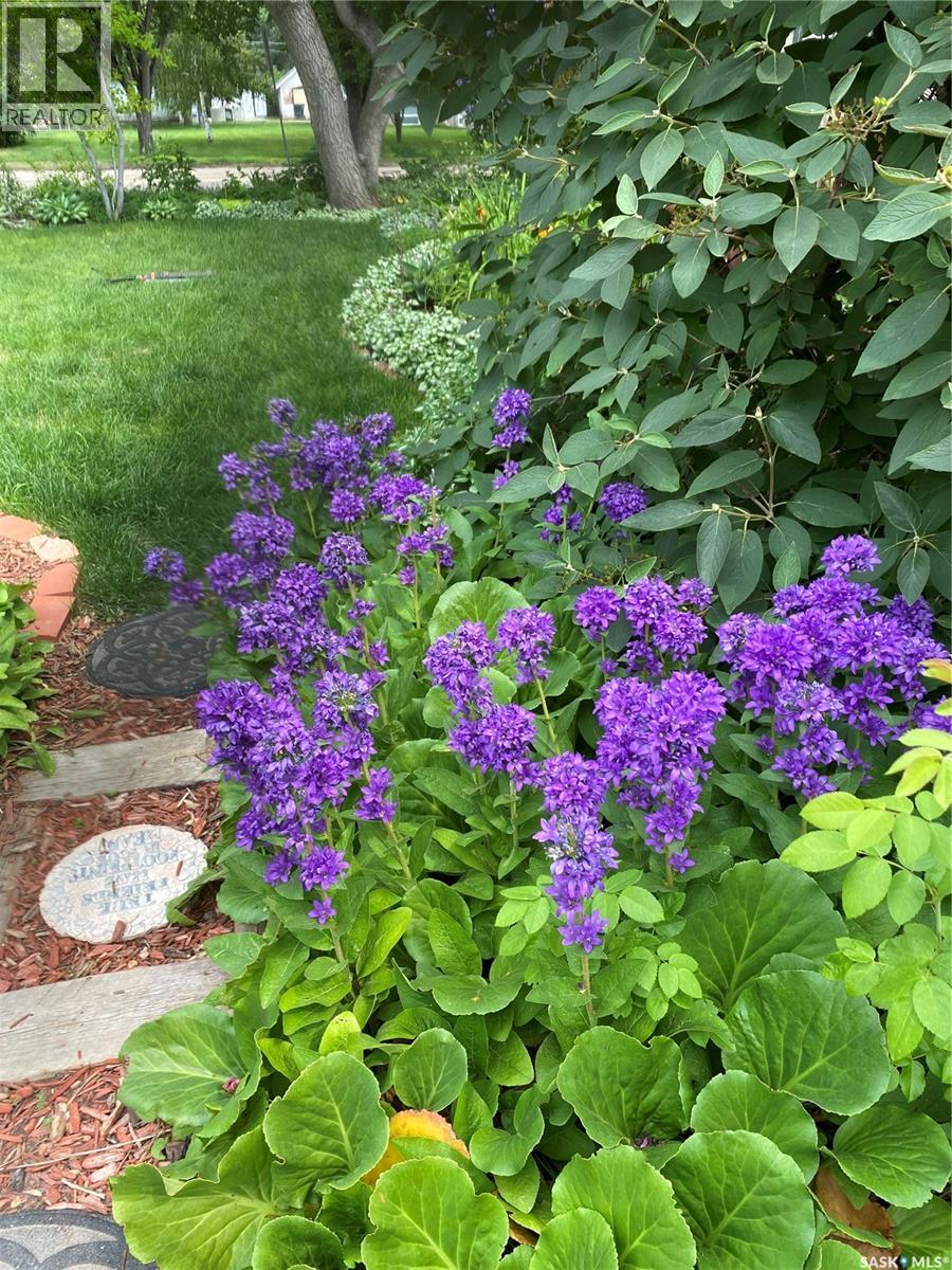 625 Centre Street, Shaunavon, Saskatchewan  S0N 2M0 - Photo 38 - SK028732