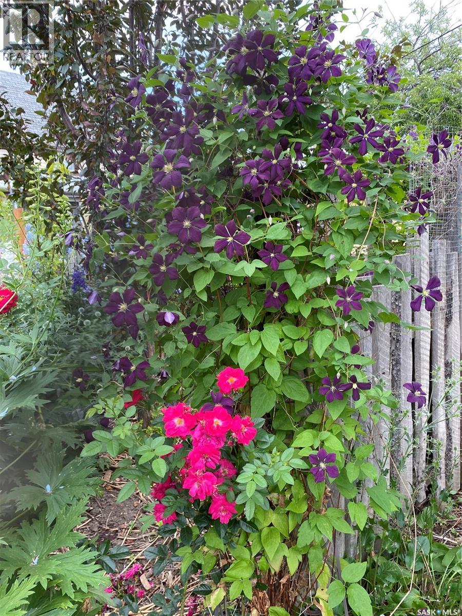 625 Centre Street, Shaunavon, Saskatchewan  S0N 2M0 - Photo 39 - SK028732