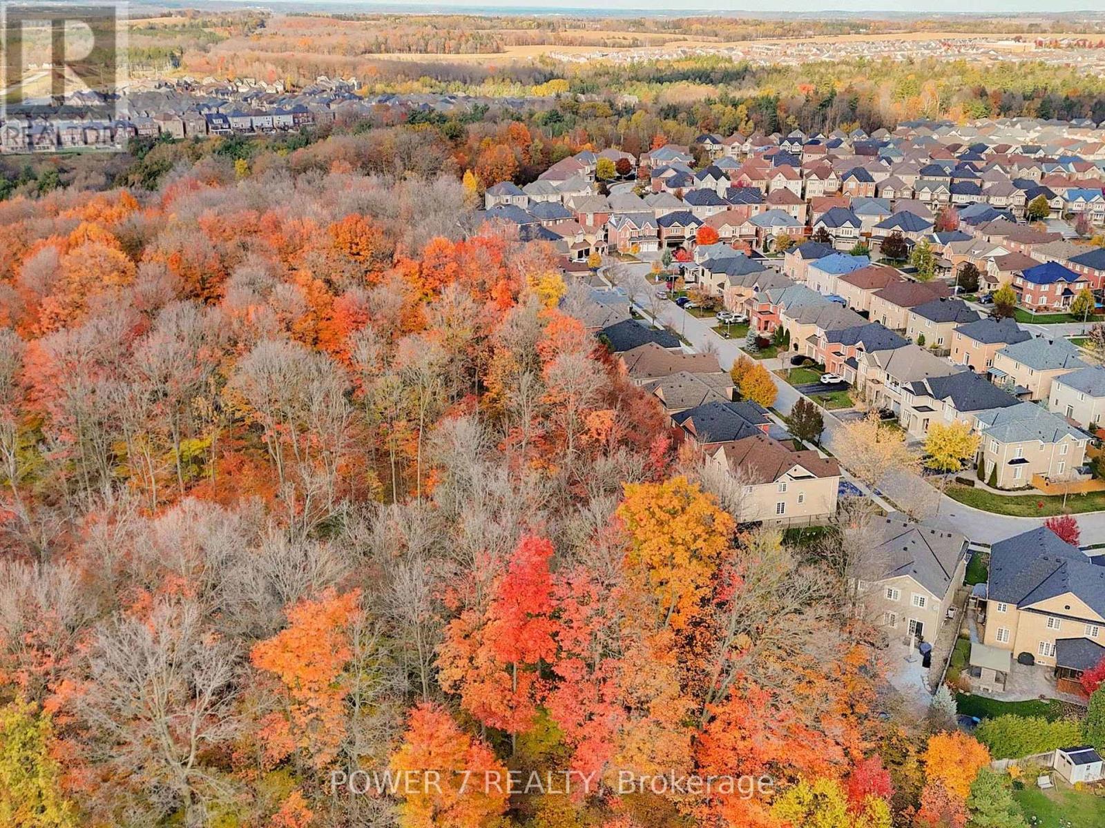 180 Woodspring Avenue, Newmarket, Ontario  L3X 3J4 - Photo 44 - N12795352