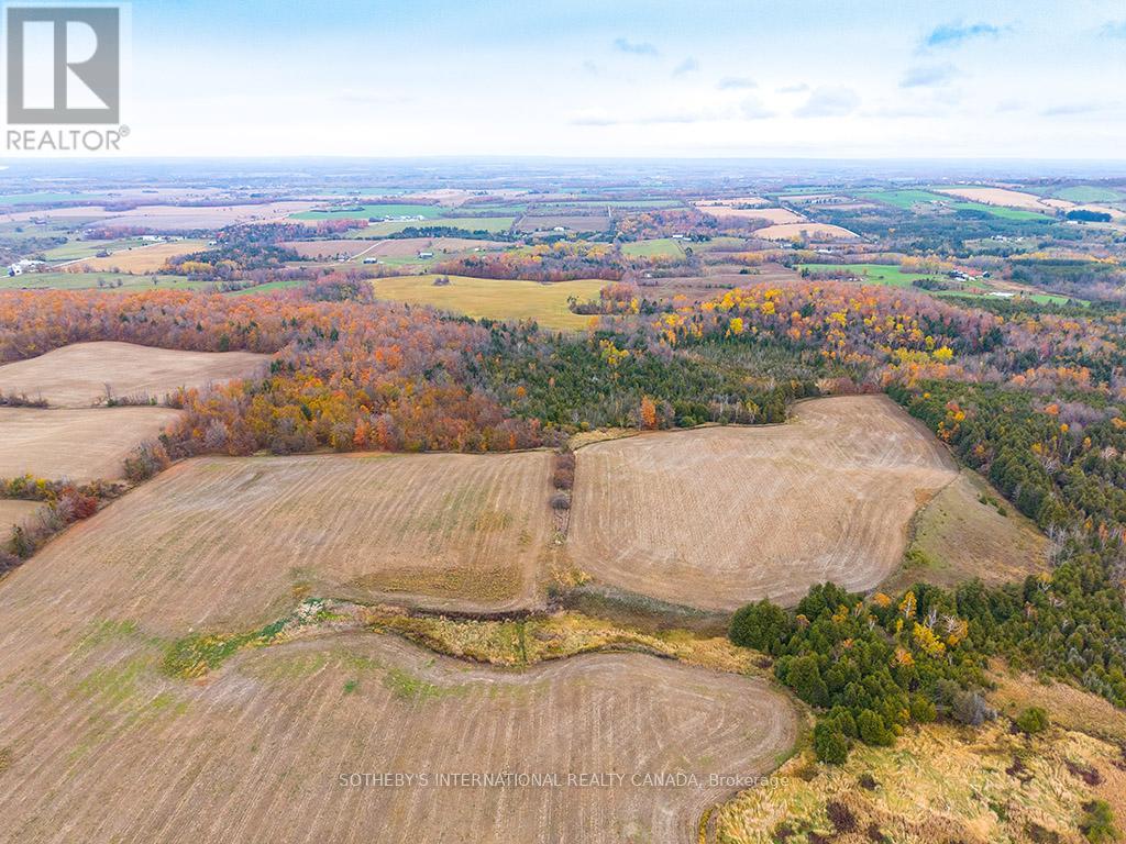 2205 County Road 124, Clearview, Ontario  L0M 1H0 - Photo 12 - S12795724