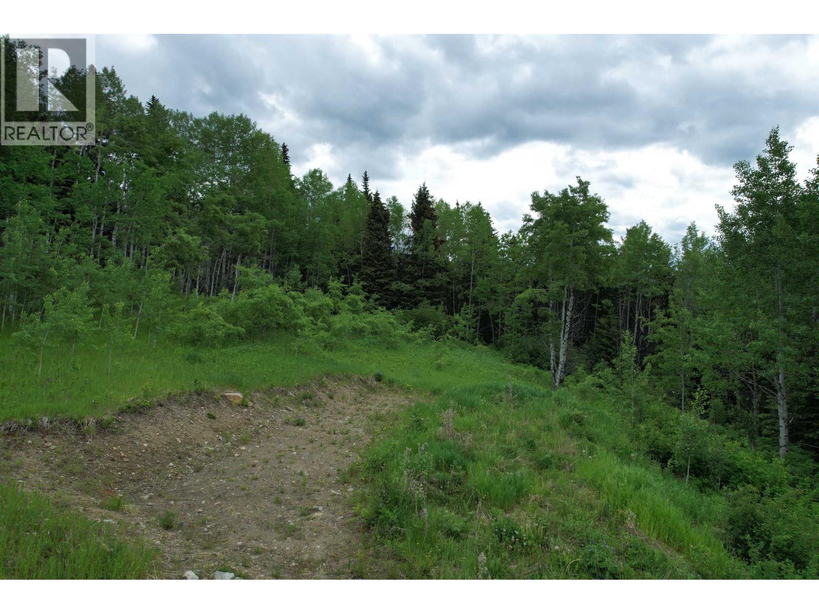 Lot 15 Mccarthy Road, Bridge Lake, British Columbia  V0K 1X2 - Photo 7 - R3090109