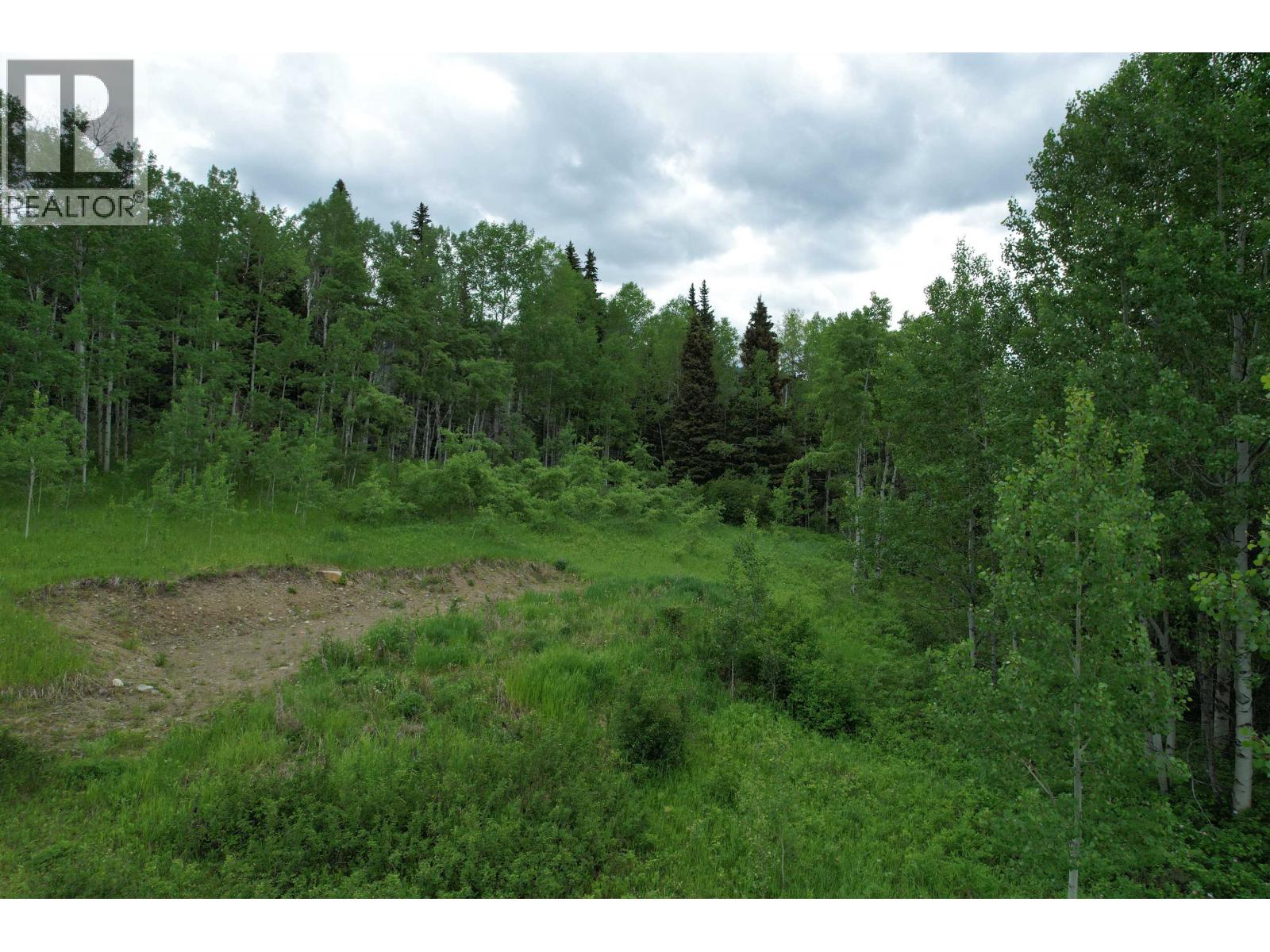 Lot 15 Mccarthy Road, Bridge Lake, British Columbia  V0K 1X2 - Photo 6 - R3090109