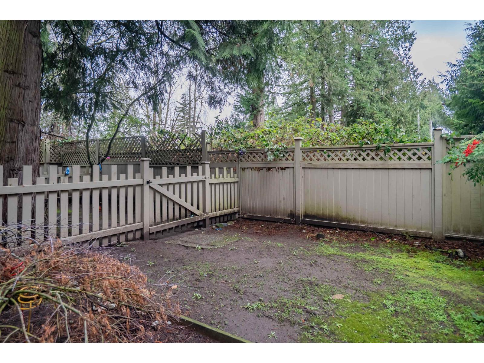 41 12738 66 Avenue, Surrey, British Columbia  V3W 1P3 - Photo 37 - R3090769
