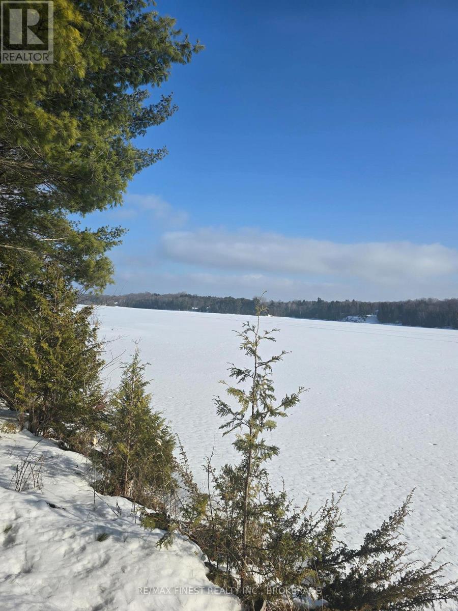 1102b Bebris Road, Central Frontenac, Ontario  K0H 1B0 - Photo 38 - X12795456