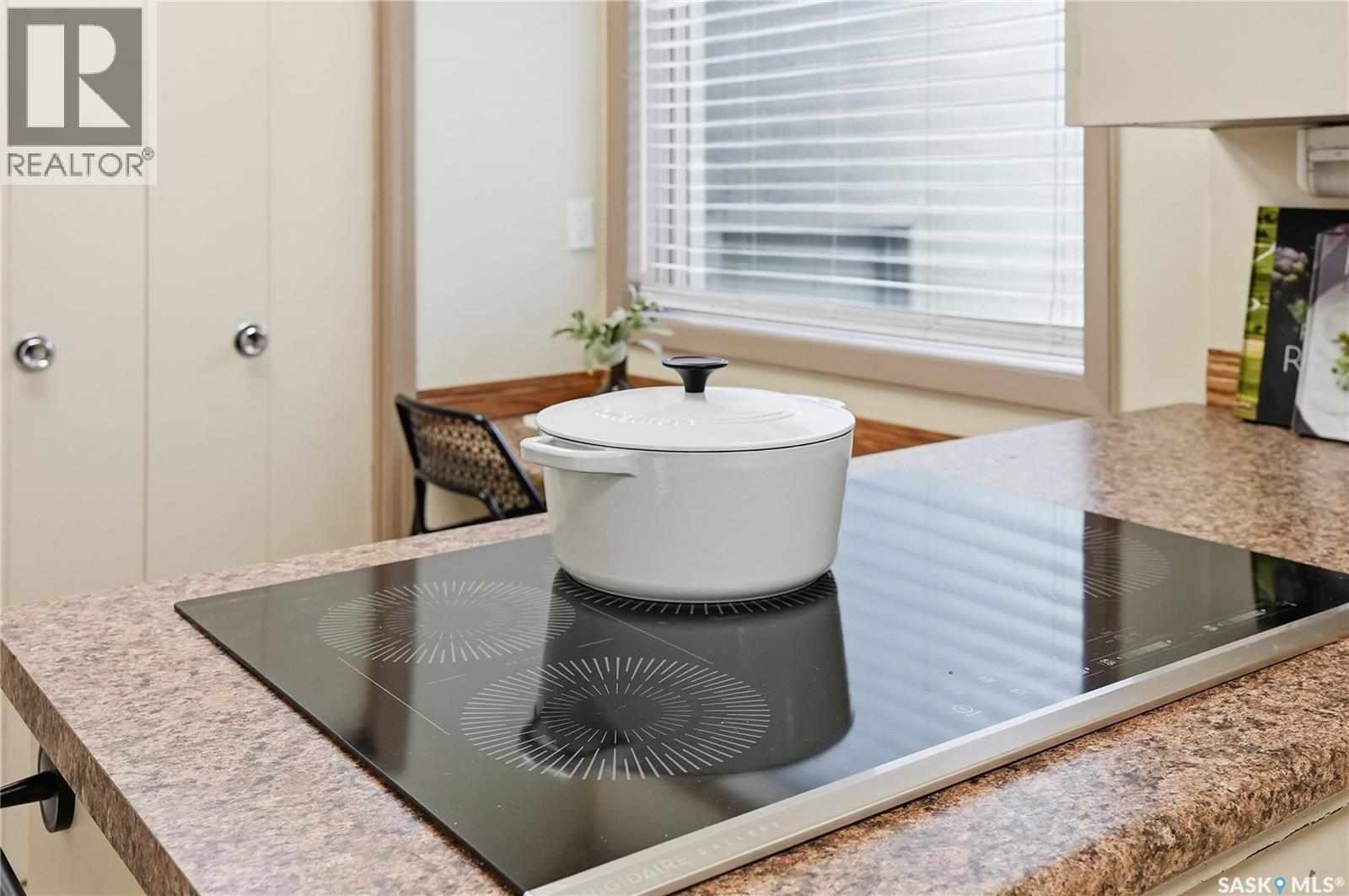 1213 Elliott Street, Saskatoon, Saskatchewan  S7N 0V5 - Photo 26 - SK028701