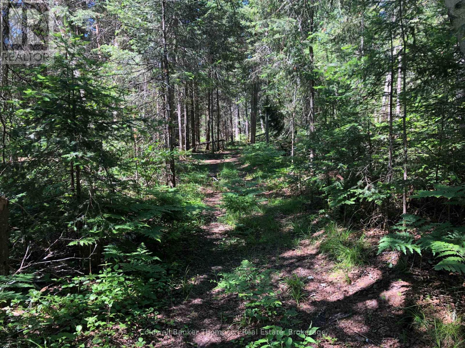 140 Machar River Road, Machar, Ontario  P0A 1X0 - Photo 14 - X12795910