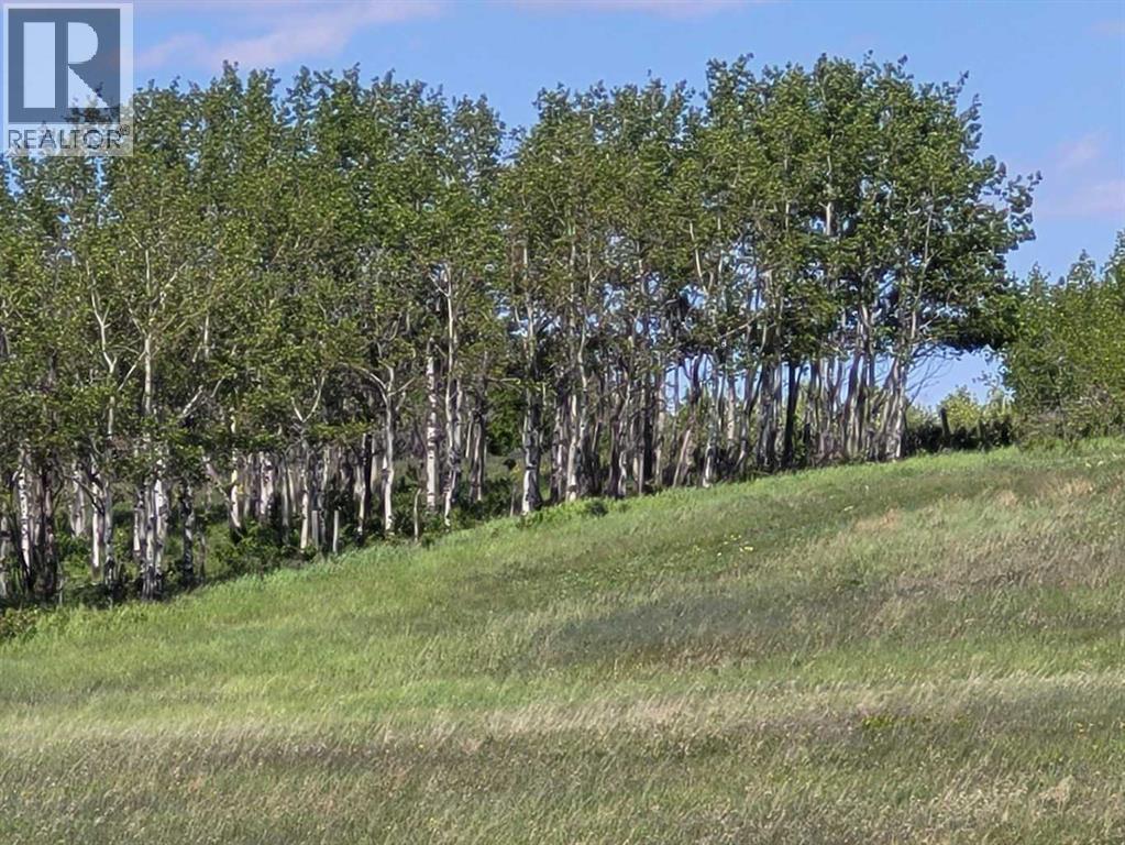 272065 Lochend Road, Rural Rocky View County, Alberta  T0M 1L0 - Photo 30 - A2278959