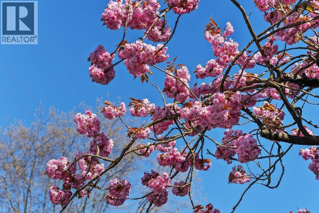305 2330 Maple Street, Vancouver, British Columbia  V6J 3T6 - Photo 23 - R3090903