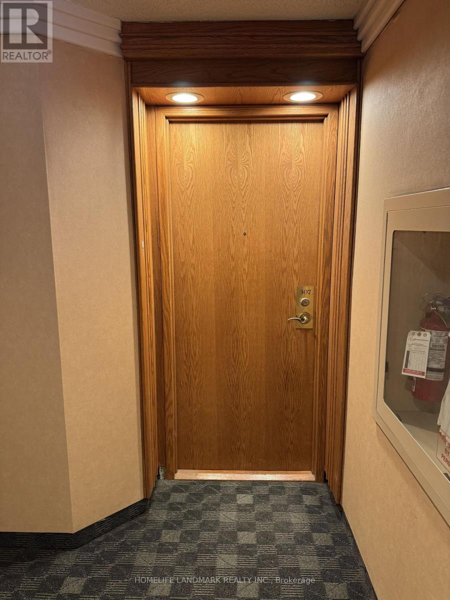 307 - 18 Hollywood Avenue, Toronto, Ontario  M2N 6P5 - Photo 6 - C12796184