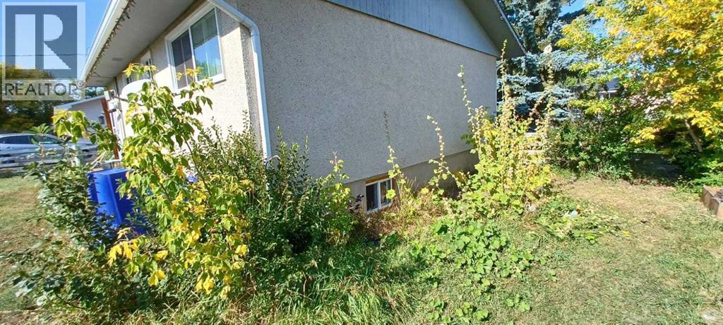 4710 Imperial Avenue, Coronation, Alberta  T0C 1C0 - Photo 41 - A2258876