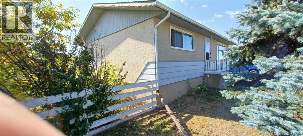 4710 Imperial Avenue, Coronation, Alberta  T0C 1C0 - Photo 6 - A2258876