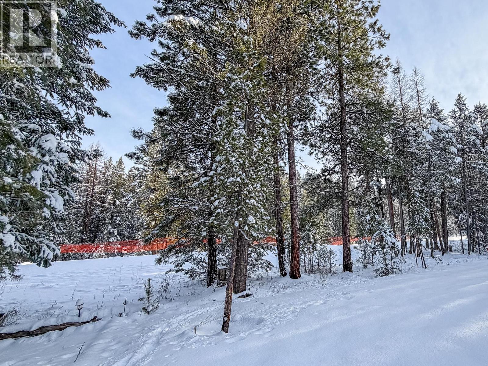 245 Shadow Mountain Boulevard, Cranbrook, British Columbia  V1C 0C6 - Photo 4 - 10375907