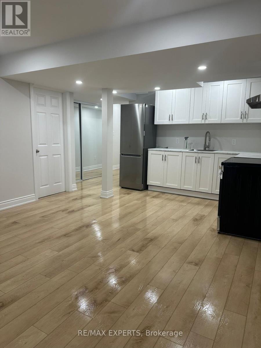 Bsmt - 1253 Manitou Way, Milton, Ontario  L9E 1Y2 - Photo 3 - W12796272